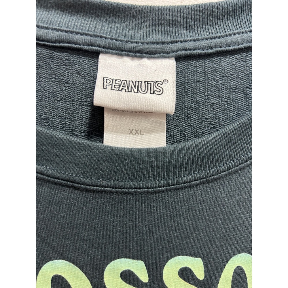 Peanuts Snoopy Blossom Graphic Sweatshirt Teal Green Retro Floral Soft Pullover - Picture 2 of 8
